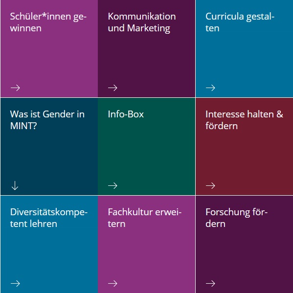 MINT4TU-Website-Kacheln
