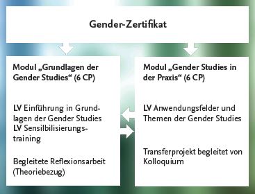 Grafik Gender-Zertifikat: Aufbau